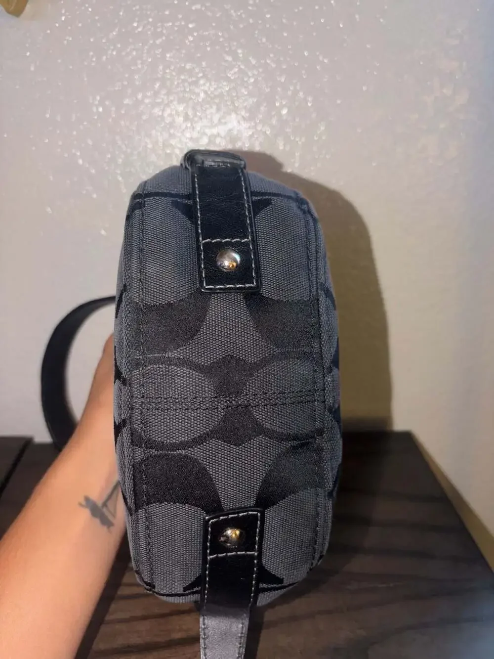 Coach Signature Canvas Zoe Mini Bag